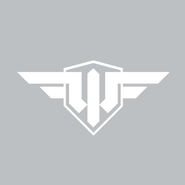 Логотип World Of Warplanes