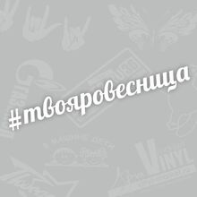 Модные наклейки на лобовое стекло