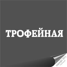Модные наклейки на лобовое стекло